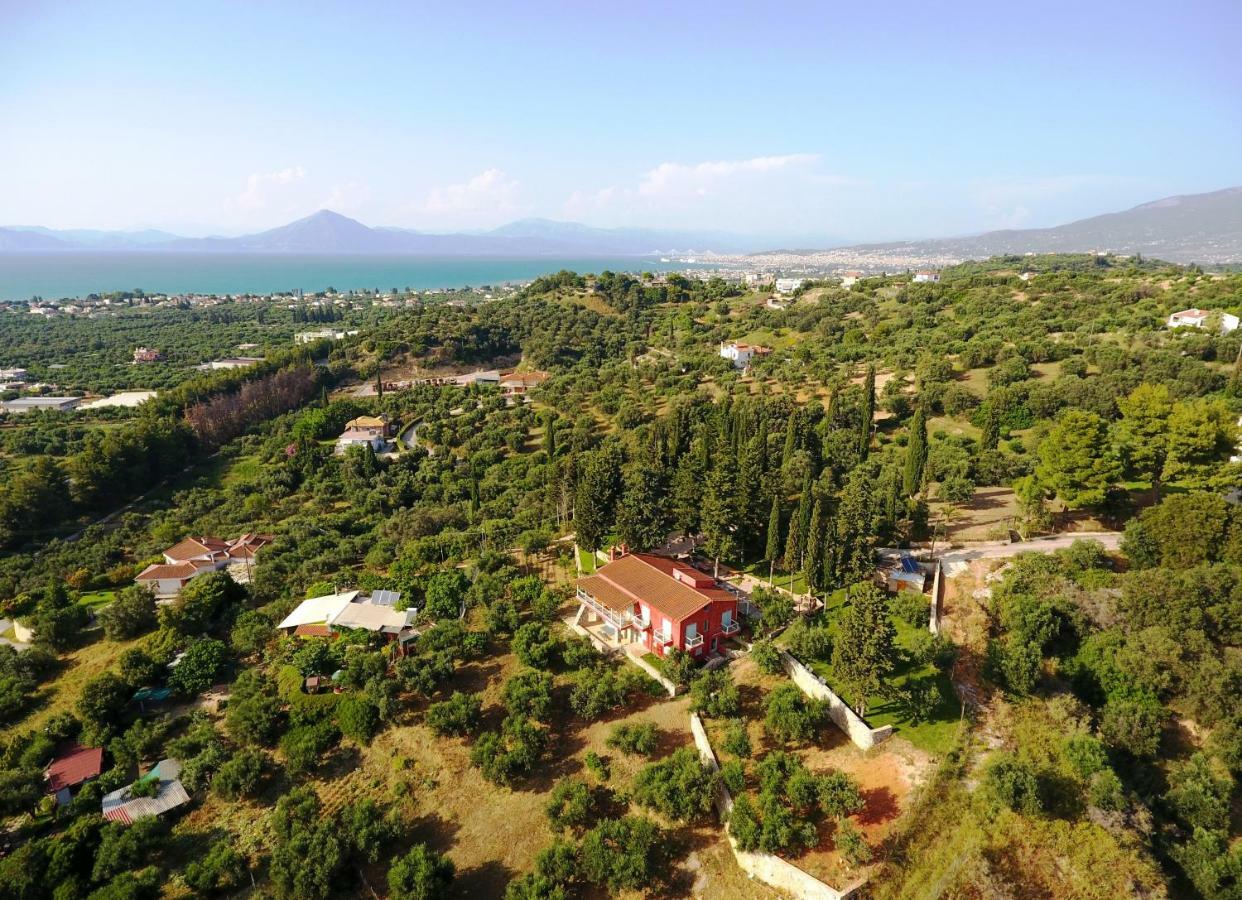 Monodhéndrion Sea View Villa With 4 Bedrooms - Grecorama מראה חיצוני תמונה